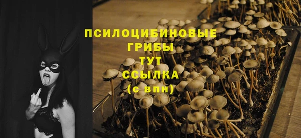 PSILOCYBIN Касимов
