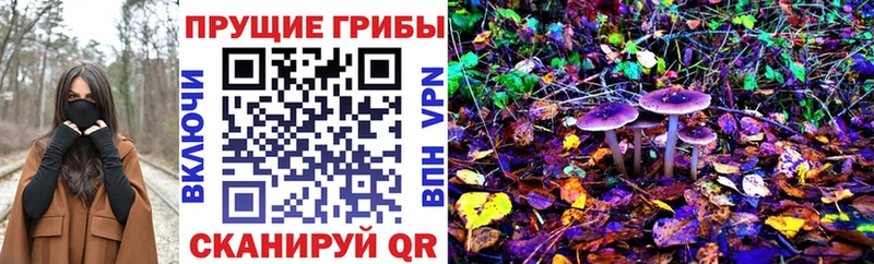 Галлюциногенные грибы мицелий  Купить  Канаш 